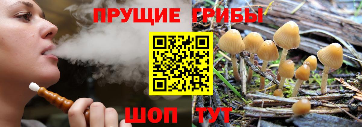 Псилоцибиновые грибы мицелий  Вход с VPN  где продают   Галлюциногенные грибы ЛСД  Дюртюли 